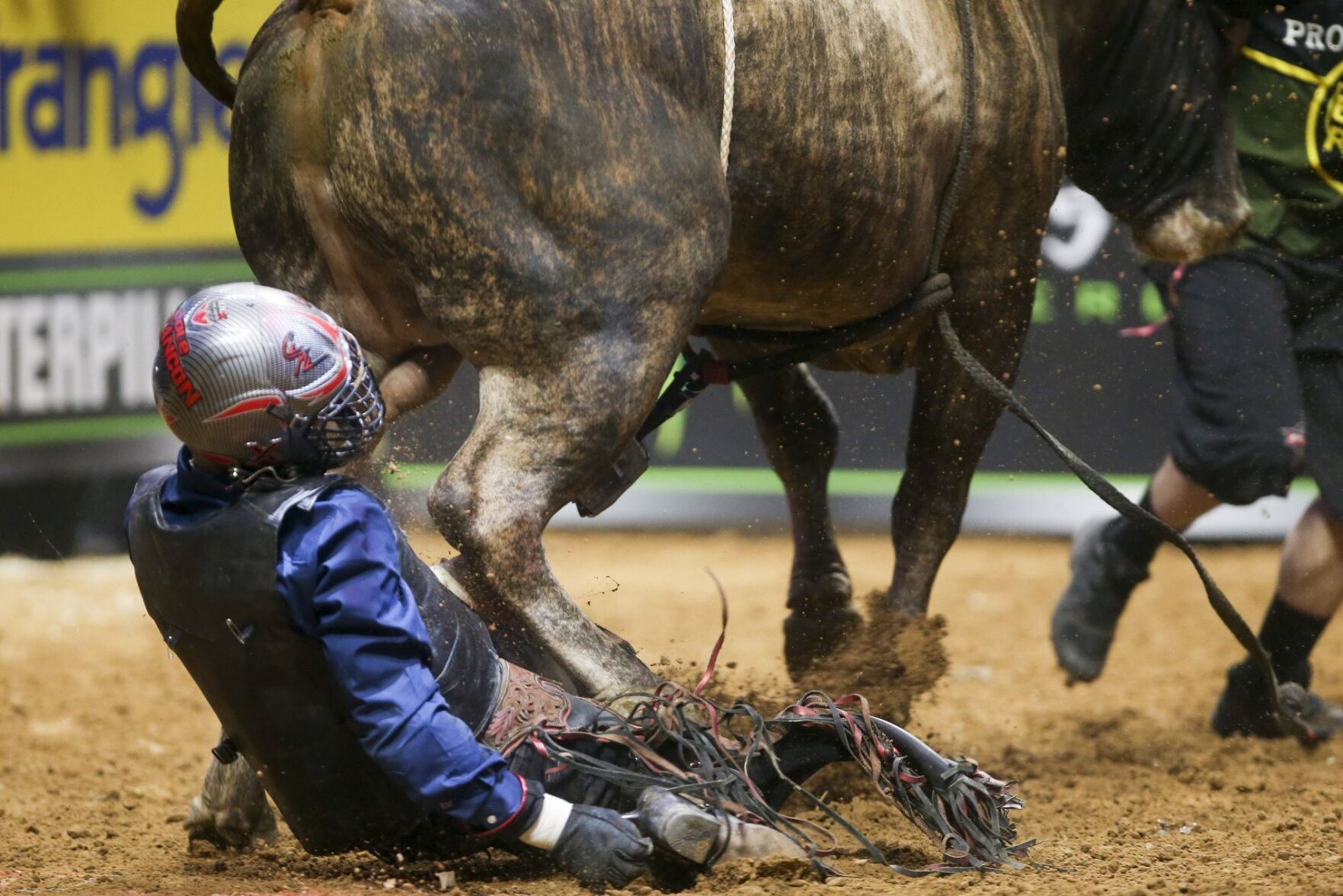 PBR Unleash The Beast